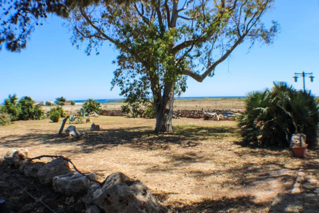 B&B Casa Cavarra Portopalo Di Capo Passero Extérieur photo