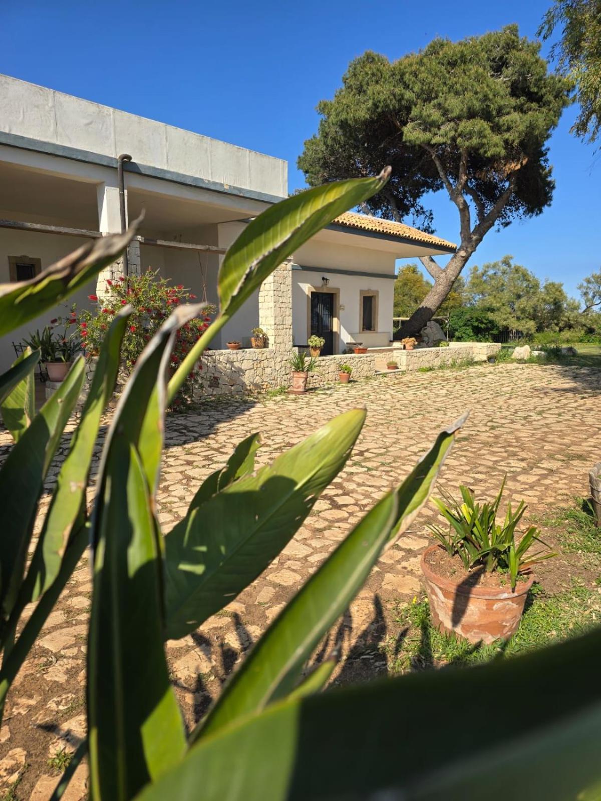 B&B Casa Cavarra Portopalo Di Capo Passero Extérieur photo